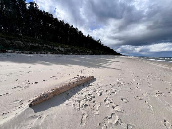 A walk on the beach